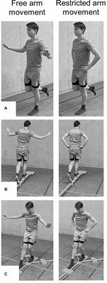 Effect of Arm Movement and Task Difficulty on Balance Performance in Children, Adolescents, and Young Adults